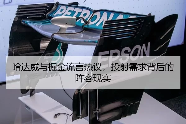 哈达威与掘金流言热议，投射需求背后的阵容现实